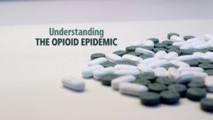 understanding the opiod epidemic